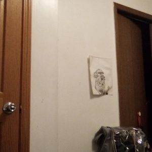 Meet your Posher, Jonathon